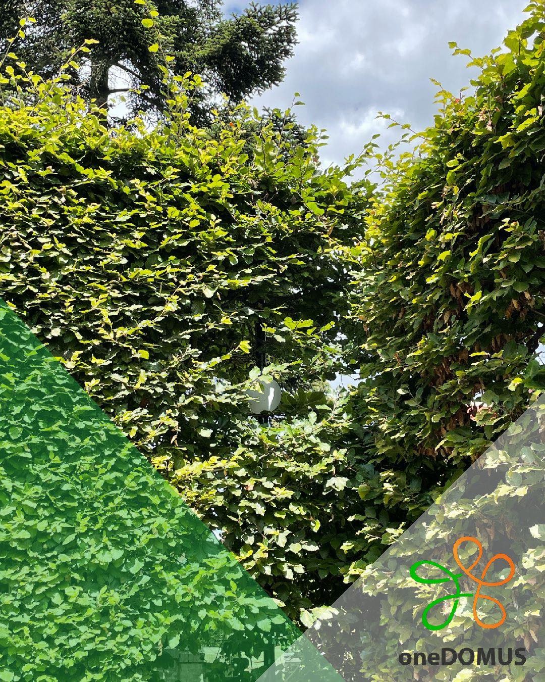 UniFi access point buiteninstallatie in tuin